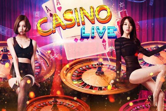 Novibet Live Casino